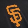Giants Sport Hoodie